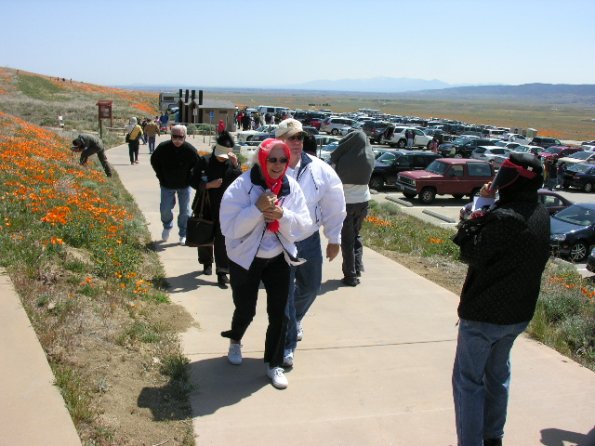 CSC_Poppy_Fields_070