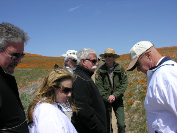 CSC_Poppy_Fields_083