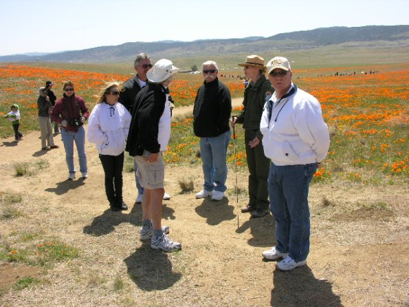 CSC_Poppy_Fields_100