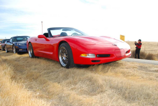 Cambria_0001