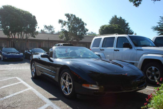 Cambria_0037