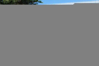 Cambria_0040
