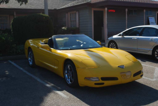Cambria_0044