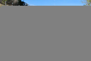 Cambria_0055