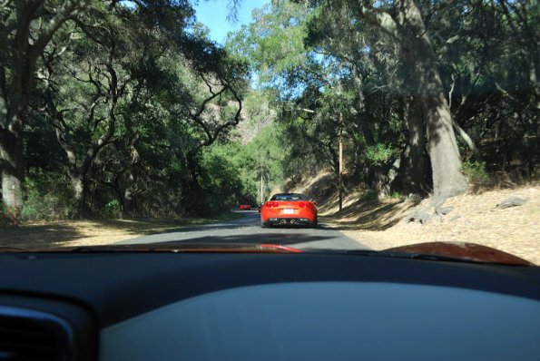 Cambria2010_035