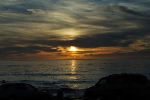 Cambria2010_041