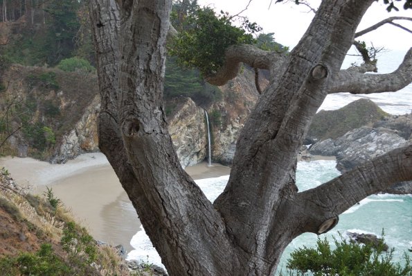 Cambria2010_219