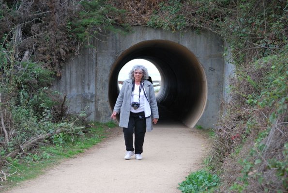 Cambria2010_236