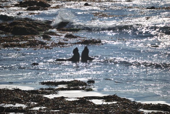 Cambria2010_254