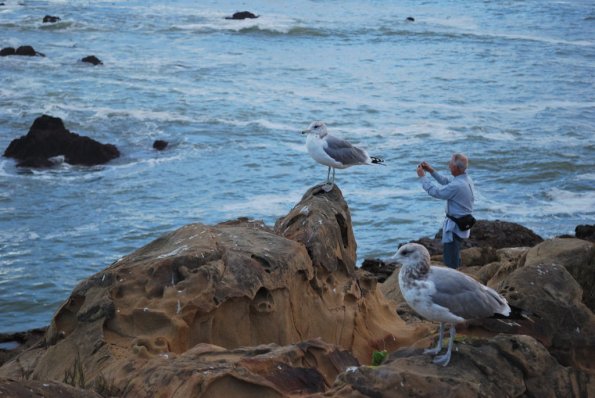 Cambria2010_318