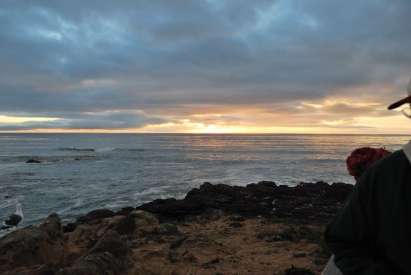 Cambria2010_319