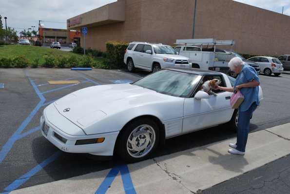 ClassyCar_032