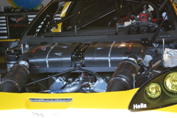 LBGP_0011