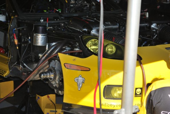 LBGP_0012