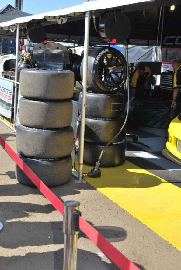 LBGP_0014