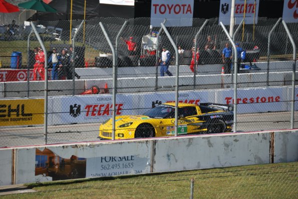 LBGP_0041
