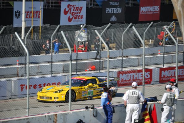LBGP_0046