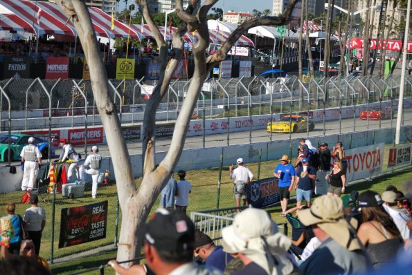 LBGP_0061