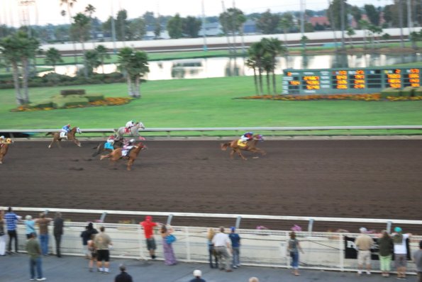 NightAtRaces_0039