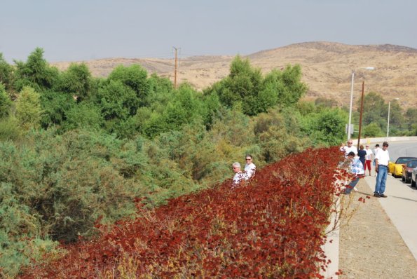 Palomar_0012