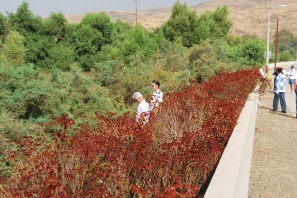 Palomar_0013