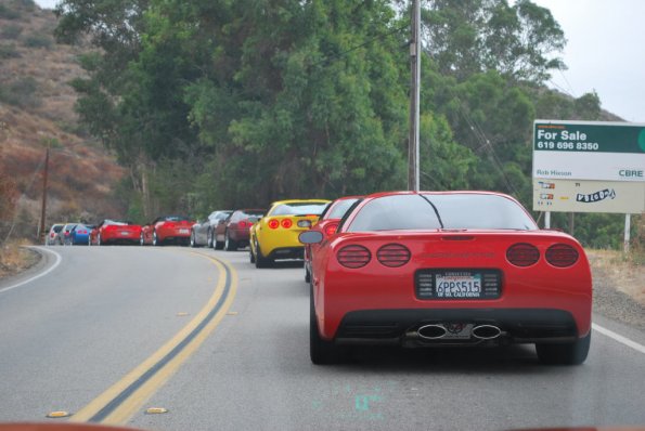 Palomar_0020