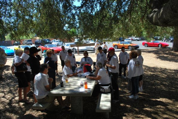 Palomar_0033