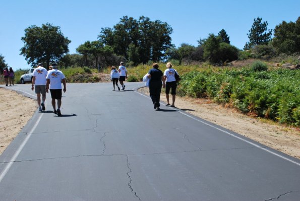 Palomar_0036
