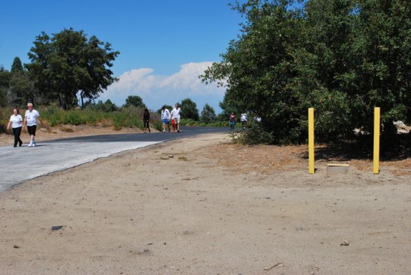 Palomar_0037