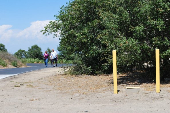 Palomar_0038