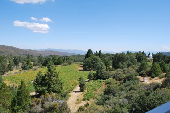 Palomar_0068
