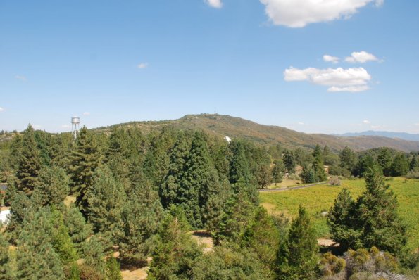 Palomar_0069