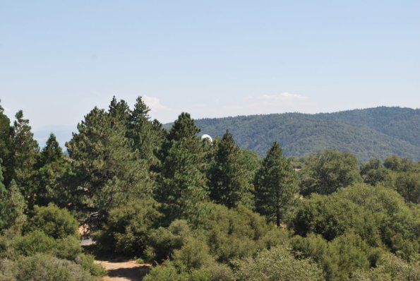 Palomar_0081