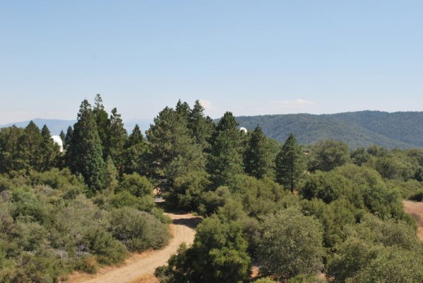 Palomar_0082