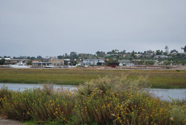 PokerRun_0017