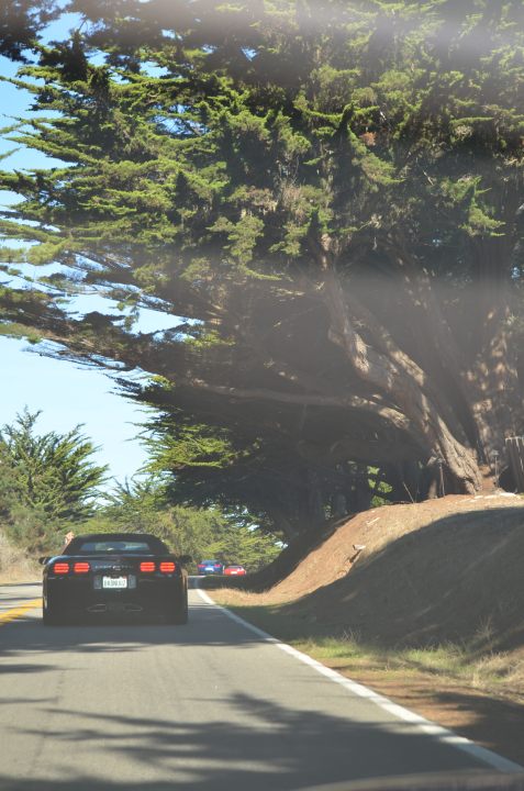 cambria2012CN_0019