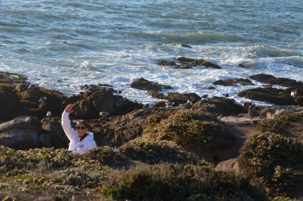 cambria2012CN_0046