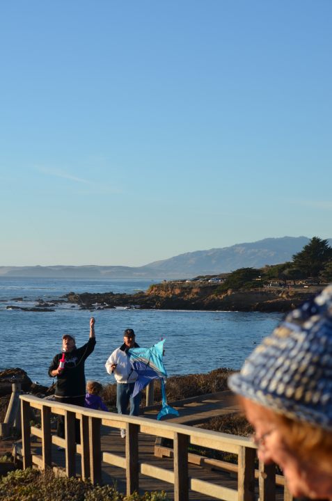 cambria2012CN_0054