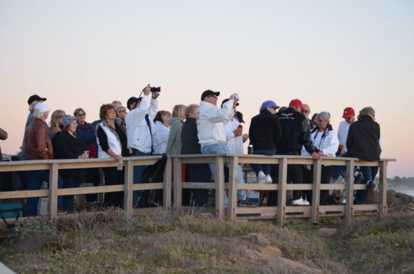 cambria2012CN_0067