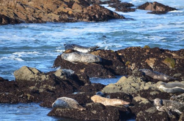 cambria2012CN_0077