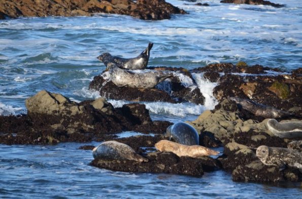 cambria2012CN_0078