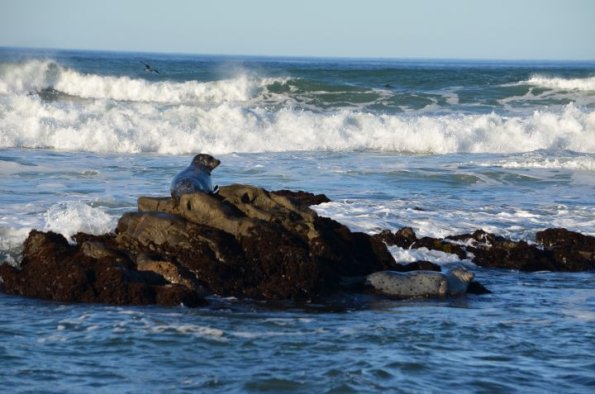 cambria2012CN_0079