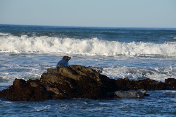 cambria2012CN_0080