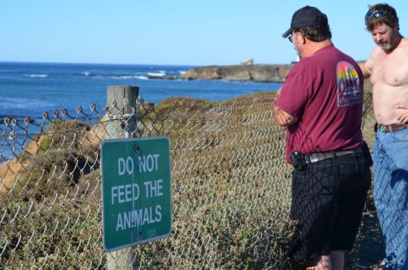 cambria2012CN_0089