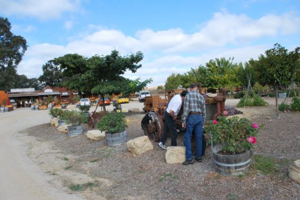 cambria2012_0027