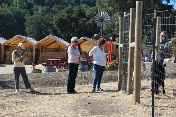 cambria2012_0056