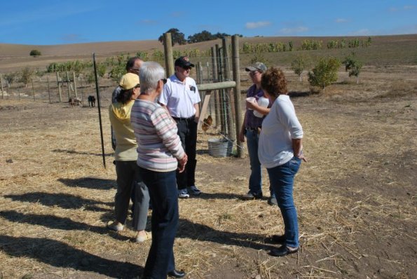 cambria2012_0060