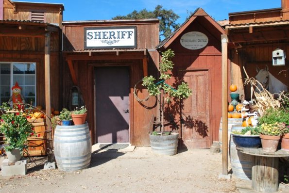 cambria2012_0062
