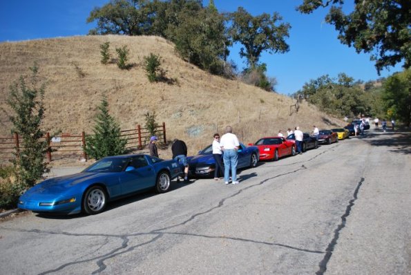 cambria2012_0165