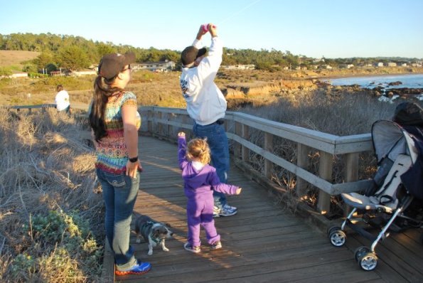 cambria2012_0230